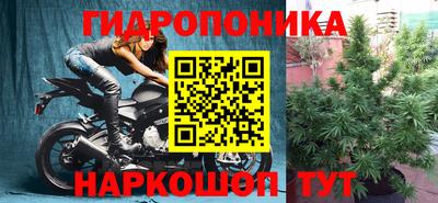 бошки Владивосток