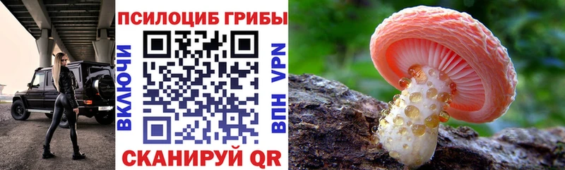 даркнет сайт  Белогорск  Псилоцибиновые грибы GOLDEN TEACHER 