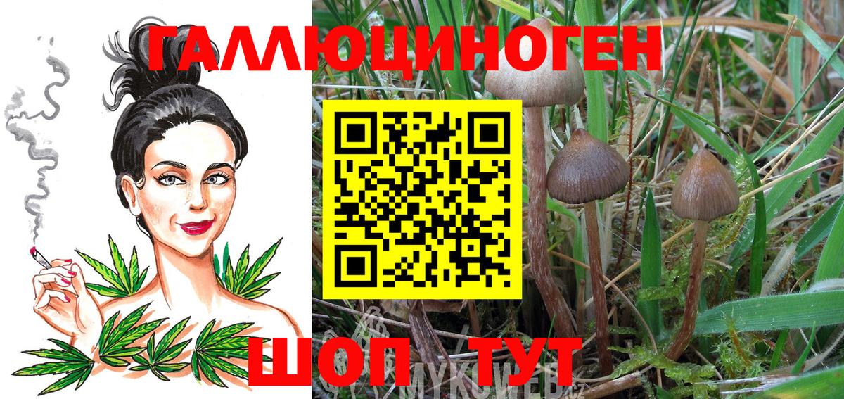 Псилоцибиновые грибы прущие грибы Белогорск